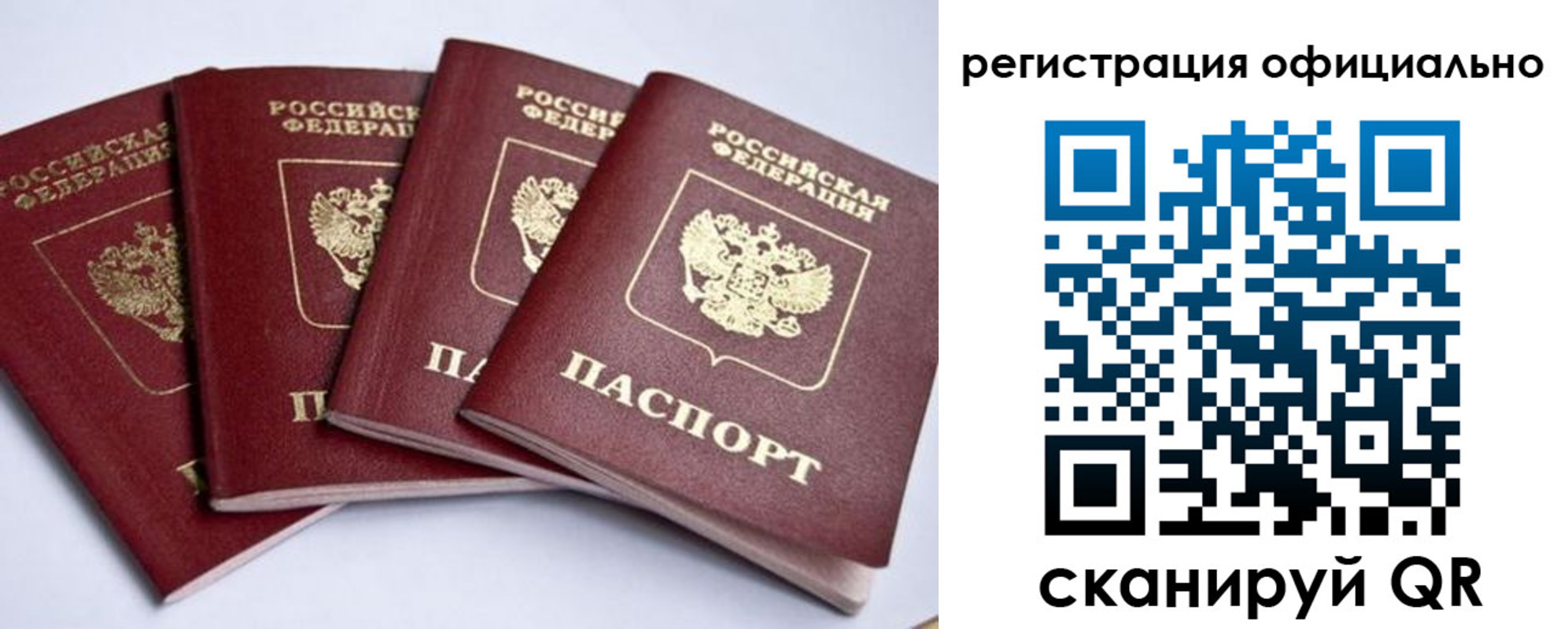 пропишу в квартире в Пионерском